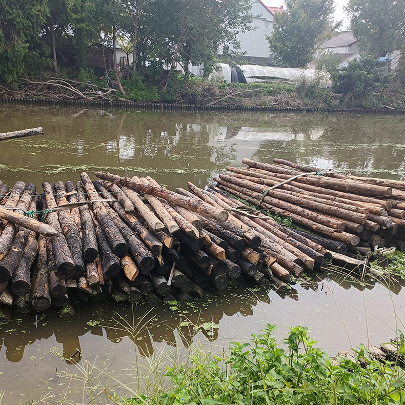 河道清淤木桩